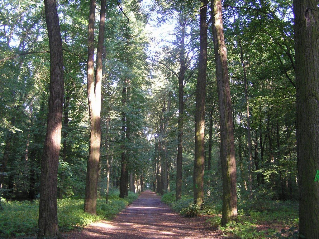 Direkt an die Prinzen-Residenz angrenzender Park