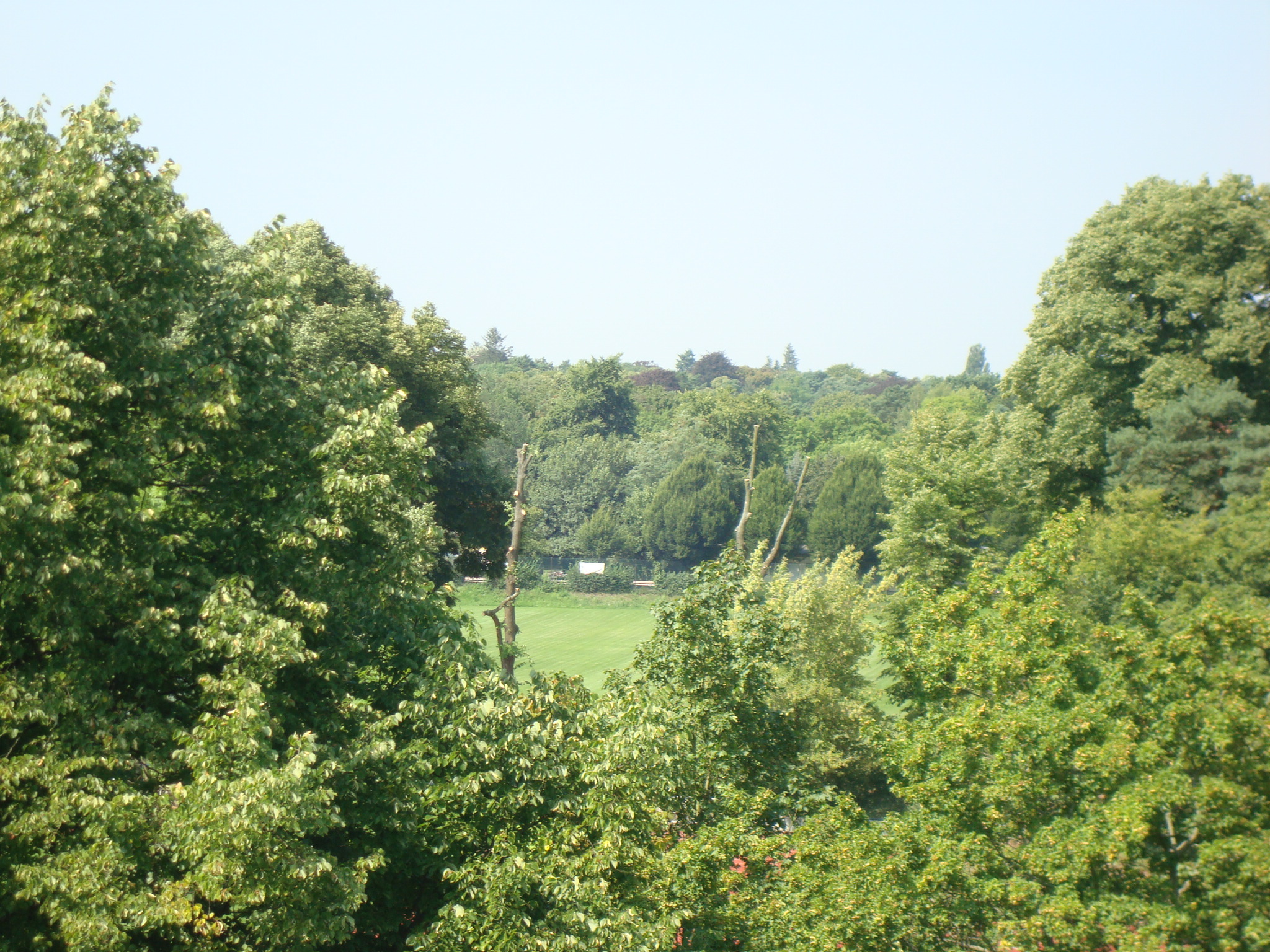 4 Ausblick Penthouse rechts